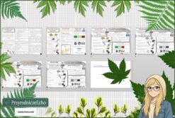 Mały zestaw na jedną lekcję: sketchnotka/notatka, karta pracy plus gratisowa prezentacja multimedialna „Przyrządy i pomoce przyrodnika” w pdf. Przyroda. Klasa 4. Dział „Poznajemy warsztat przyrodnika”.