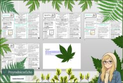 Mały zestaw na jedną lekcję: sketchnotka/notatka, karta pracy plus gratisowa prezentacja multimedialna „Mapa i skala”, "Odległości na mapach" w pdf. Geografia. Klasa 5. Dział „Mapa Polski”.