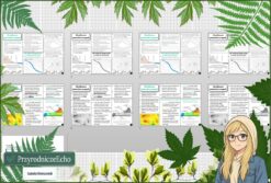 Mały zestaw na jedną lekcję: sketchnotka/notatka, karta pracy plus gratisowa prezentacja multimedialna „Ukształtowanie powierzchni na mapach” w pdf. Geografia. Klasa 5. Dział „Mapa Polski”.