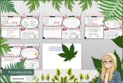 Mały zestaw na jedną lekcję: sketchnotka/notatka, karta pracy plus gratisowa prezentacja multimedialna „Kwasy beztlenowe” w pdf. Chemia Klasa 7 lub 8. Dział „Kwasy”.