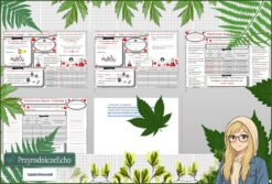 Mały zestaw na jedną lekcję: sketchnotka/notatka, karta pracy plus gratisowa prezentacja multimedialna „Kwasy tlenowe”, "Otrzymywanie kwasów tlenowych", "Inne kwasy tlenowe" w pdf. Chemia Klasa 7 lub 8. Dział „Kwasy”.