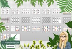 Pomysł na lekcję/pomysł na projekt/materiał do przeprowadzenia lekcji do tematu „Wzory i nazwy kwasów” w pdf. W gratisie niekomercyjny scenariusz lekcji/pomysł na lekcję w programie genial.ly do edycji. Na podstawie wydawnictwa MAC. Chemia 7 i 8. Dział „Kwasy".