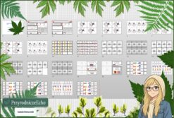 Tetralogia - zestaw: sketchnotka, karta pracy, materiały do przeprowadzenia lekcji, pomysł na lekcję do tematu „Wzory i nazwy kwasów” w pdf. W gratisie niekomercyjne: prezentacja multimedialna oraz scenariusz lekcji/pomysł na lekcję w programie genial.ly do edycji. Na podstawie wydawnictwa MAC. Chemia 7 i 8. Dział „Kwasy".