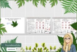 Mały zestaw na jedną lekcję: sketchnotka/notatka, karta pracy plus gratisowa prezentacja multimedialna „Zasady bezpiecznej pracy na lekcjach chemii" w pdf. Chemia Klasa 7. Dział „Substancje”.