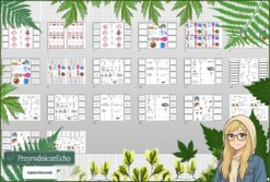 Tetralogia - zestaw: sketchnotka, karta pracy, materiały do przeprowadzenia lekcji, pomysł na lekcję do tematu „Przyroda i jej składniki” w pdf. W gratisie niekomercyjne: prezentacja multimedialna oraz scenariusz lekcji/pomysł na lekcję w programie genial.ly do edycji. Na podstawie wydawnictwa Nowa Era. Przyroda 4 . Dział „Poznajemy warsztat przyrodnika .