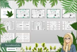 Tetralogia - zestaw: sketchnotka, karta pracy, materiały do przeprowadzenia lekcji, pomysł na lekcję do tematu „Czym są równoleżniki i południki? - przypomnienie” w pdf. W gratisie niekomercyjne: prezentacja multimedialna oraz scenariusz lekcji/pomysł na lekcję w programie genial.ly do edycji. Na podstawie wydawnictwa Nowa Era. Geografia 6 . Dział „Współrzędne geograficzne".