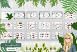 Tetralogia - zestaw: sketchnotka, karta pracy, materiały do przeprowadzenia lekcji, pomysł na lekcję do tematu „Pierścienice - zwierzęta, które mają segmentowane ciało” w pdf. W gratisie niekomercyjne: prezentacja multimedialna oraz scenariusz lekcji/pomysł na lekcję w programie genial.ly do edycji. Na podstawie wydawnictwa Nowa Era. Biologia 6. Dział „Od parzydełkowców do pierścienic".