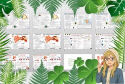 Średni zestaw na lekcje do całego działu: sketchnotki/notatki, karty pracy plus gratisowe prezentacje multimedialne w pdf. Biologia klasa 7. Dział „Narządy zmysłów".