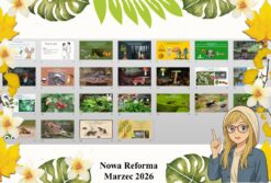Prezentacja multimedialna w PowerPoint do edycji „Życie w lesie” wykonana na podstawie podręcznika „Przyroda. Odkrywam przyrodę". Nowa Era. Przyroda 4. Dział „Życie na lądzie".
