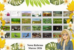 Prezentacja multimedialna w genial.ly do edycji „Życie na łące” wykonana na podstawie podręcznika „Przyroda” Nowa Era. Przyroda 4. "Odkrywam przyrodę". Dział „Życie na lądzie”.