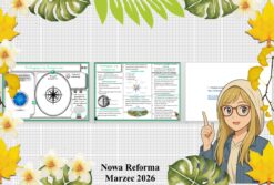 Mały zestaw na jedną lekcję: sketchnotka/notatka/przypomnienie dla nauczyciela, karta pracy plus prezentacja multimedialna „Posługuję się kompasem” w pdf. Przyroda "Odkrywam przyrodę". Klasa 4. Dział „Spotkanie z przyrodą".