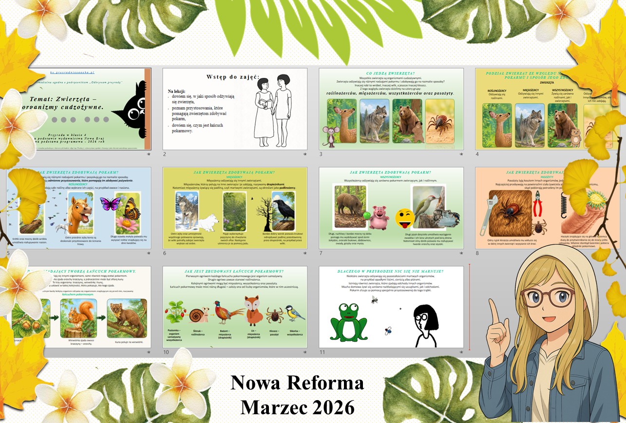 Prezentacja multimedialna w PowerPoint do edycji „Zwierzęta - organizmy cudzożywne” wykonana na podstawie podręcznika „Przyroda” Nowa Era. Przyroda 4. Dział „Jak działają organizmy?".
