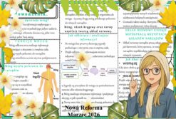 Sketchnotka/notatka - dla ucznia i przypomnienie dla nauczyciela w pdf. Temat "Mózg - centrum dowodzenia". Przyroda 4. "Odkrywam przyrodę" zgodna z wydawnictwem Nowa Era. Dział "Jak działa moje ciało?".