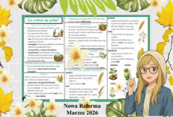 Sketchnotka/notatka - dla ucznia i przypomnienie dla nauczyciela w pdf. Temat "Jak żyje się w wodzie?". Przyroda 4. "Odkrywam przyrodę" zgodna z wydawnictwem Nowa Era. Dział "Życie w wodzie".