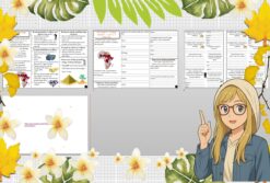 Mały zestaw na jedną lekcję: sketchnotka/notatka, karta pracy plus gratisowa prezentacja multimedialna „Przemysł i usługi w Afryce" w pdf. Geografia. Klasa 8. Dział „Afryka”.
